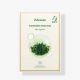 JM SOLUTION 復活草保濕面膜 30MLx10'S