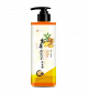 皂皂果生姜無患子洗髮精 500ML